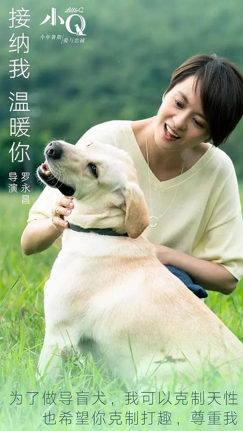 克里夫兰音乐研究所建筑学文凭证书